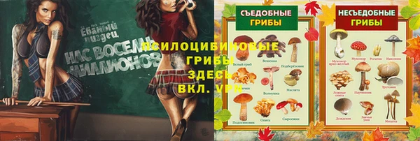 наркотики Абаза